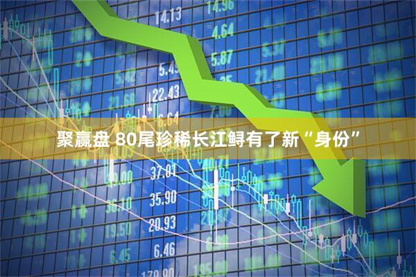 聚赢盘 80尾珍稀长江鲟有了新“身份”