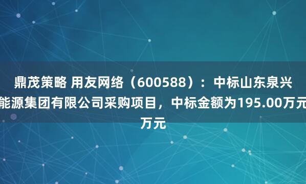 鼎茂策略 用友网络（600588）：中标山东泉兴能源集团有限公司采购项目，中标金额为195.00万元