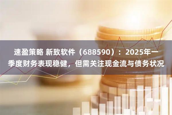 速盈策略 新致软件（688590）：2025年一季度财务表现稳健，但需关注现金流与债务状况