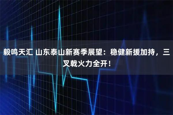 毅鸣天汇 山东泰山新赛季展望：稳健新援加持，三叉戟火力全开！