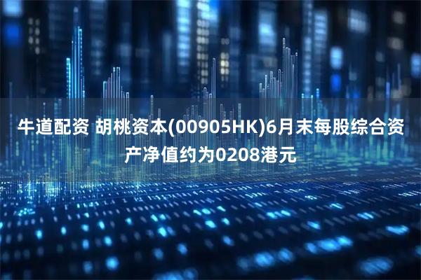 牛道配资 胡桃资本(00905HK)6月末每股综合资产净值约为0208港元